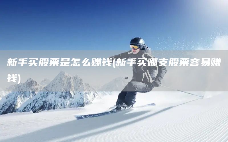 新手買(mǎi)股票是怎么賺錢(qián)(新手買(mǎi)哪支股票容易賺錢(qián))(圖1)