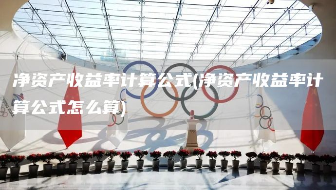 凈資產(chǎn)收益率計算公式(凈資產(chǎn)收益率計算公式怎么算)(圖1)
